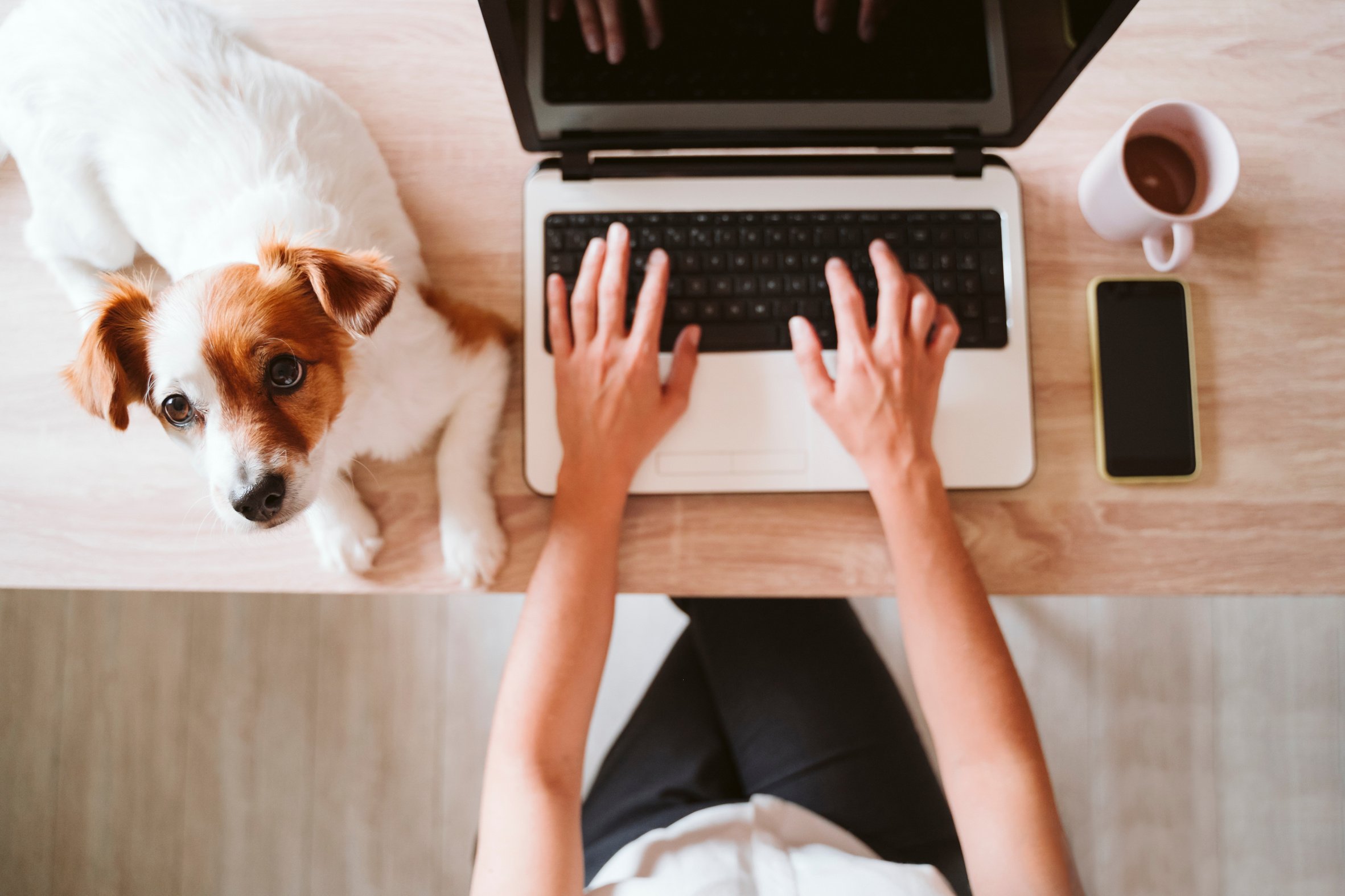 Young Woman Working on Laptop at Home with her Dog